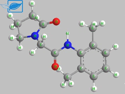 Nefiracetam की क्रिया और अनुप्रयोग का तंत्र