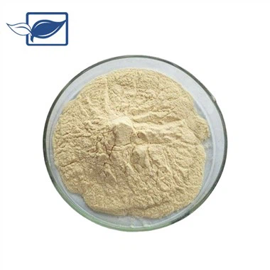 Ginseng निकालें Ginsenoside पाउडर